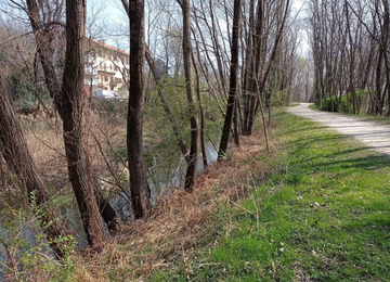 Riqualificazione del Canale di Fondotoce