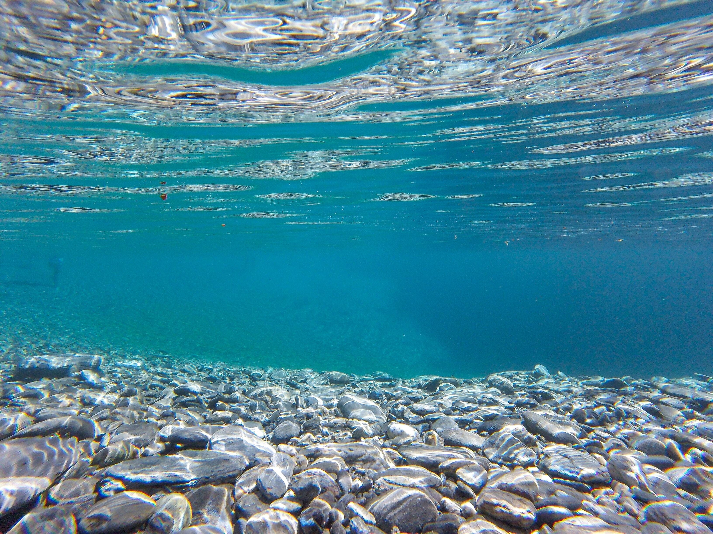 Acqua