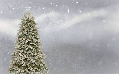 Immagine: Albero di Natale