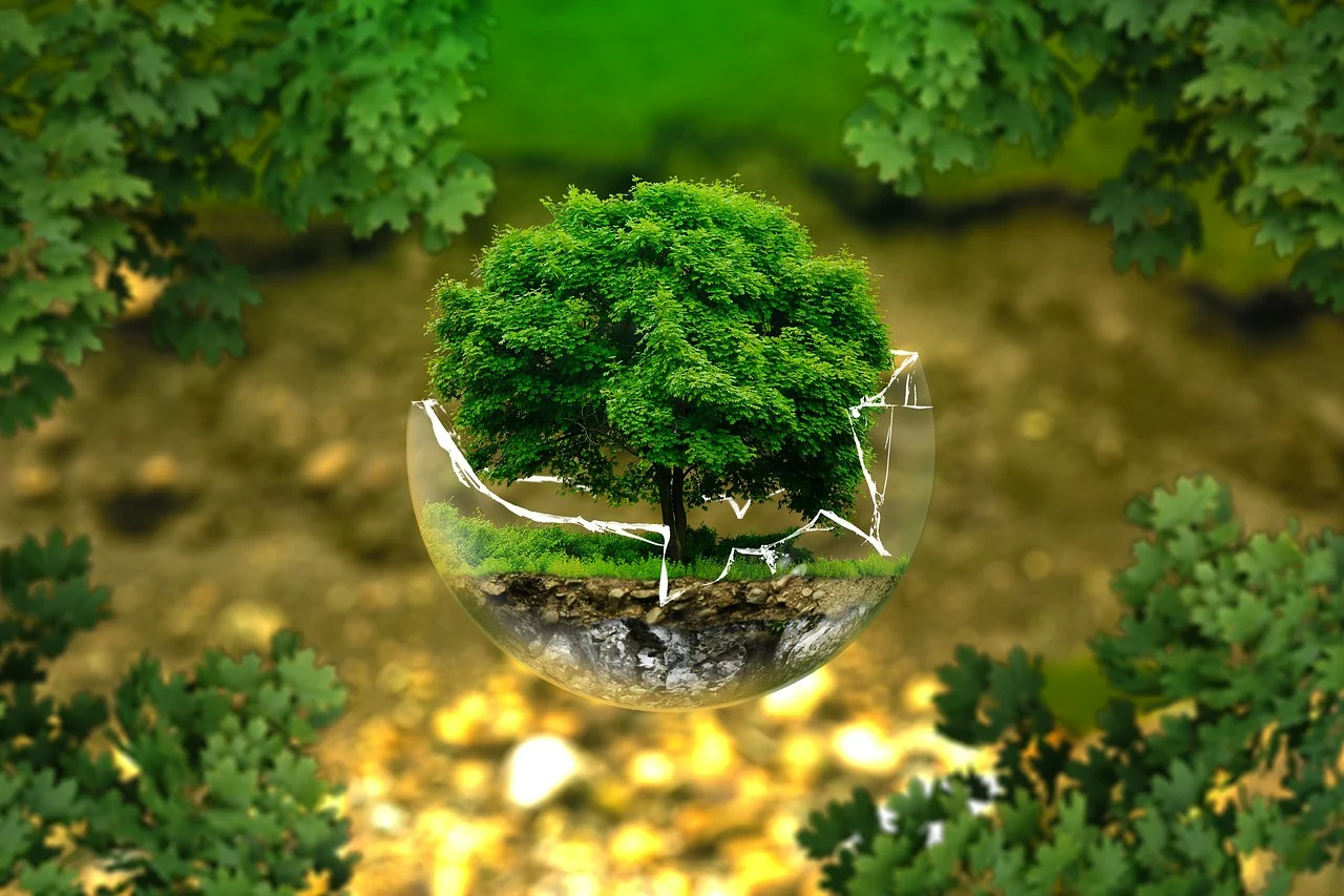 Immagine: Ambiente alberi