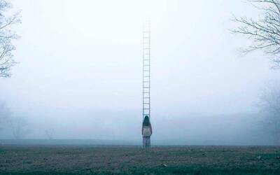 Immagine: Avap malattie mentali