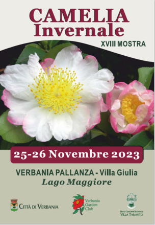 Immagine: Camelia Invernale XVIII mostra invernale 25 e 26 novembre 2023 Locandina