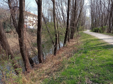 La rinascita del canale di Fondotoce
