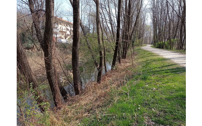 Immagine: Canale fondotoce
