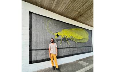 Immagine: CRISOPA arte HILARIO ISOLA