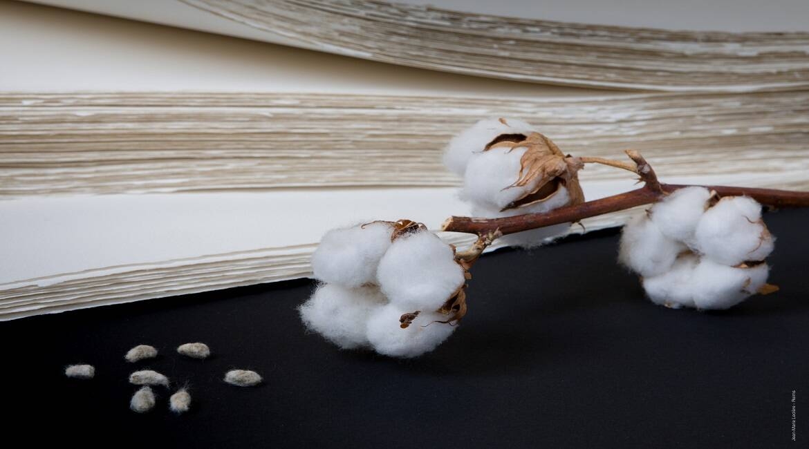 Immagine di fogli di carta e fiocchi di cotone