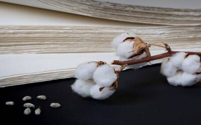 Immagine di fogli di carta e fiocchi di cotone
