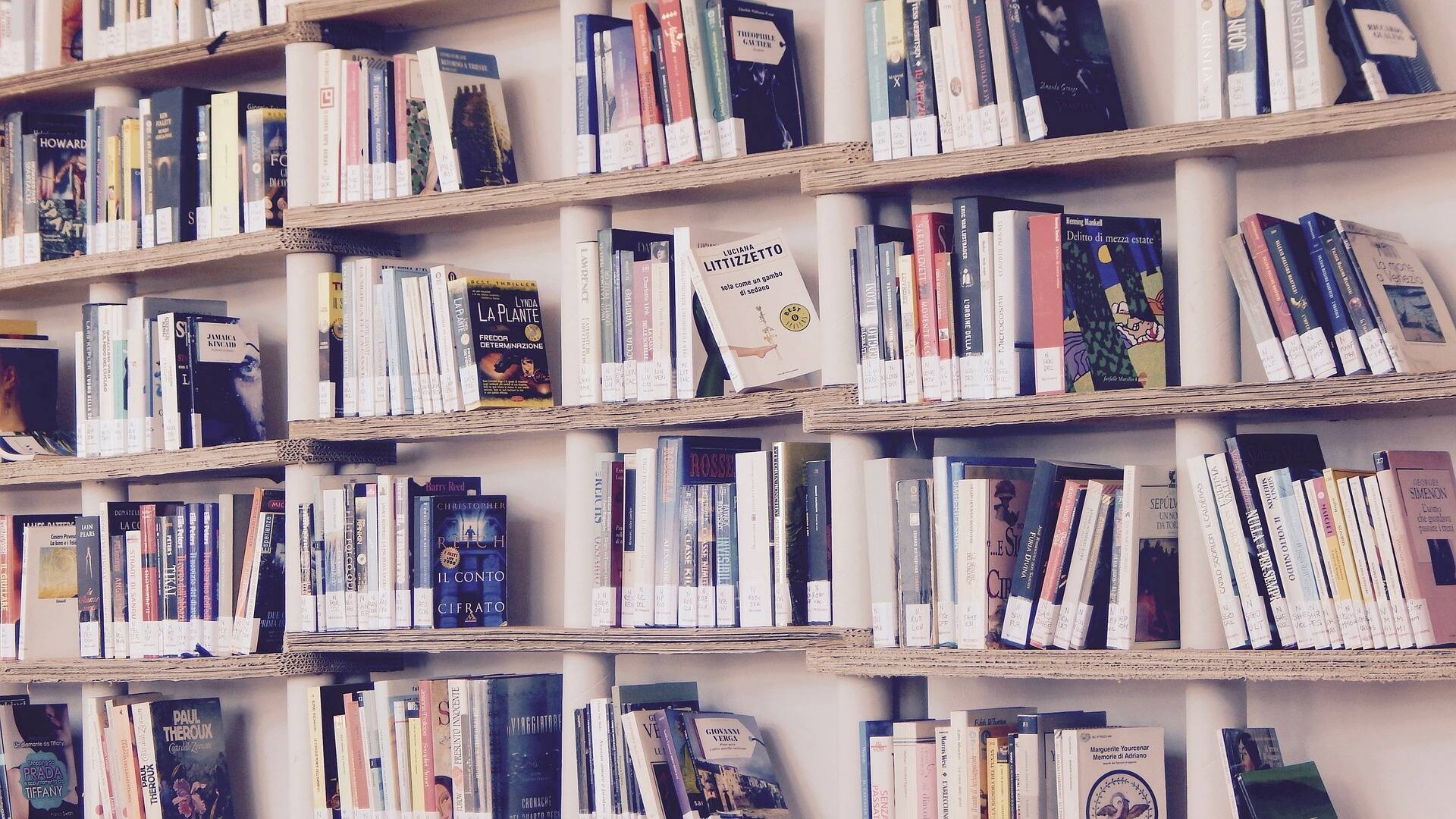 Immagine: Libri