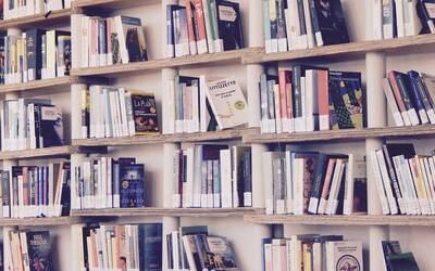 Immagine: Libri