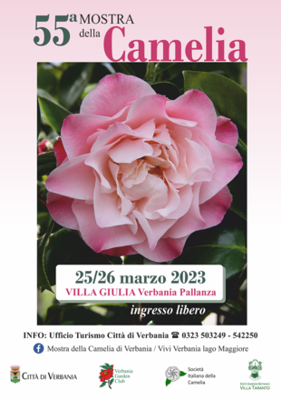 Immagine: manifesto camelia