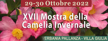 XVII Mostra della Camelia Invernale