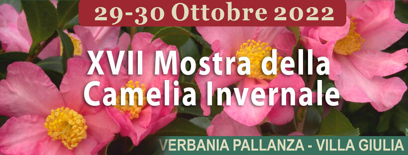 Immagine: mostra camelia 2022