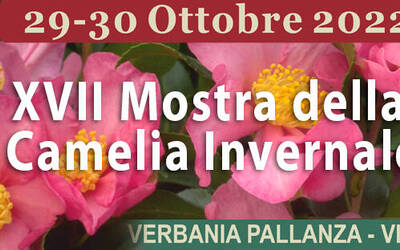 Immagine: mostra camelia 2022