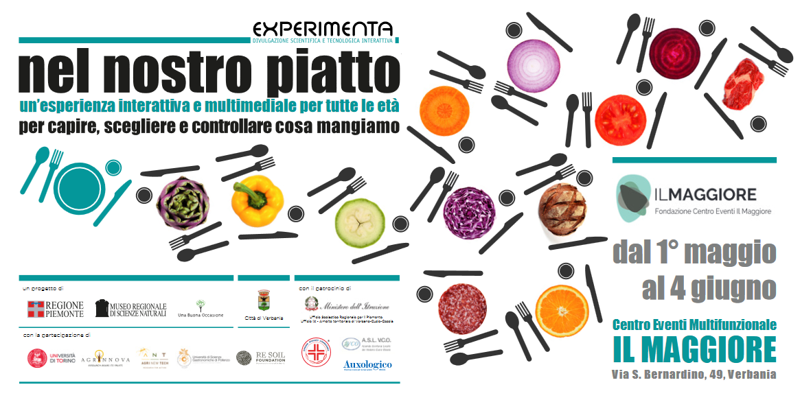 Immagine: Nel nostro piatto