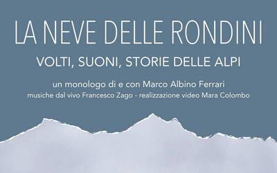 Immagine: neve rondini