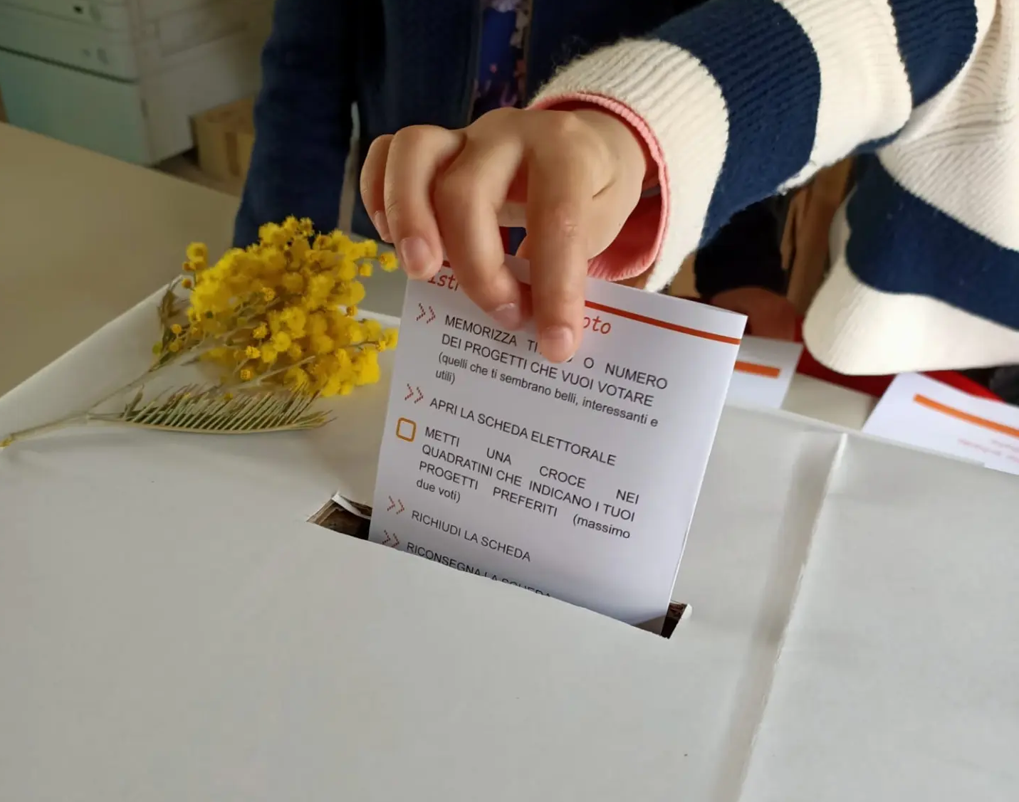 Immagine: Schea voto CCR