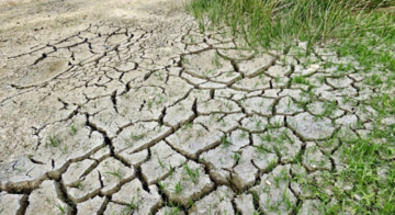 Segnalazioni danni siccità produzioni agricole