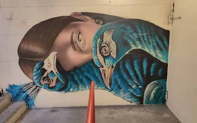 Immagine: street art 