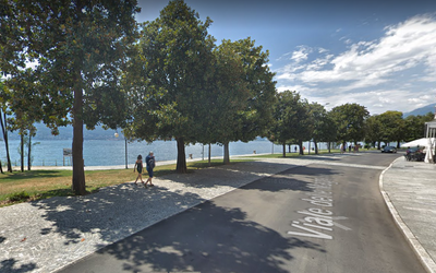Immagine: viale delle Magnolie