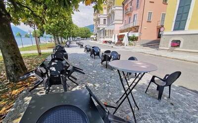 Immagine: viale delle magnolie