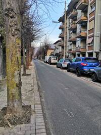Immagine: WhatsApp Image 2021-12-30 at 10.01.452